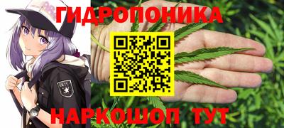 СК Анапа
